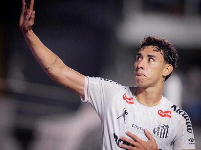 BONTEMPO E O FUTURO DO SANTOS