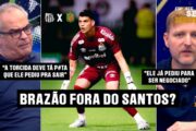 BRAZÃO DE SAÍDA? A VERDADE POR TRÁS DA REUNIÃO QUE PAROU O SANTOS HOJE!