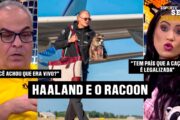 O CASO DO GUAXINIM: HAALAND PASSOU DOS LIMITES?