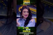 O DADO QUE PROVA O FRACASSO DE ANCELOTTI NO BRASIL
