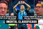 GRÊMIO CLASSIFICADO: INTER EM CRISE NO BRASILEIRÃO?