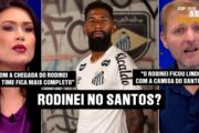 SANTOS VAI PRA CIMA: OS REFORÇOS PONTUAIS QUE PODEM CHEGAR