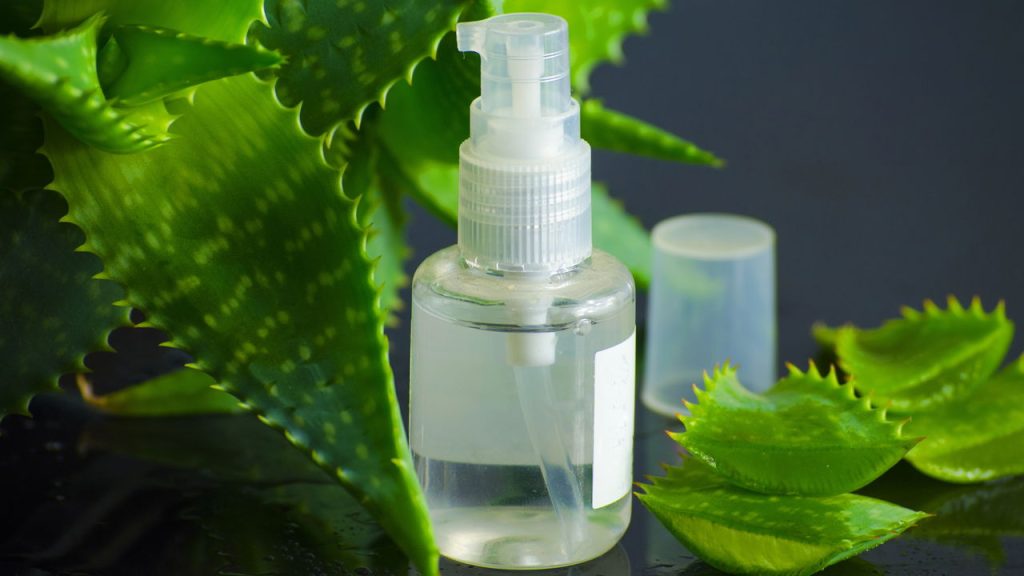 A planta natural que melhora a digestão, alivia inflamações e hidrata a pele