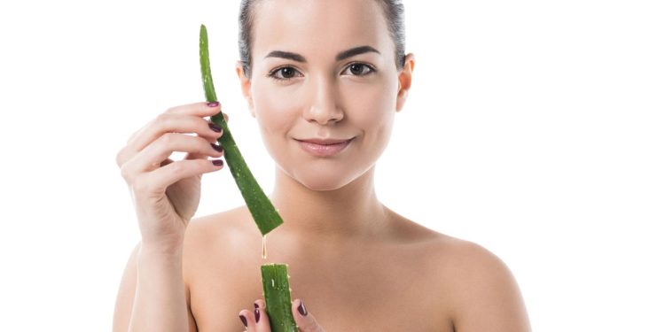 A planta natural que melhora a digestão, alivia inflamações e hidrata a pele