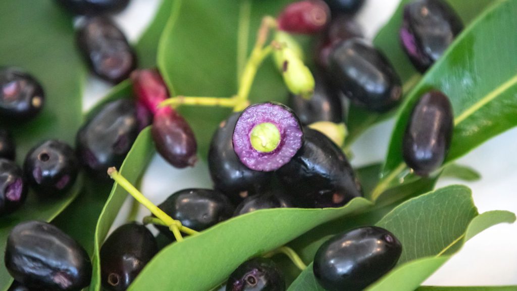 Essa fruta famosa é poderosa e pouca gente aproveita como deveria