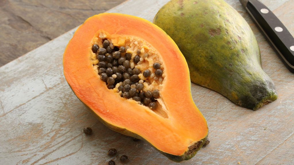 Aprenda como plantar Mamão em seu quintal de forma simples