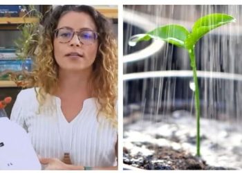Carol Costa, “Você está regando errado”