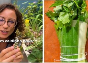Carol Costa, jardineira "Como fazer um Knorr natural?"