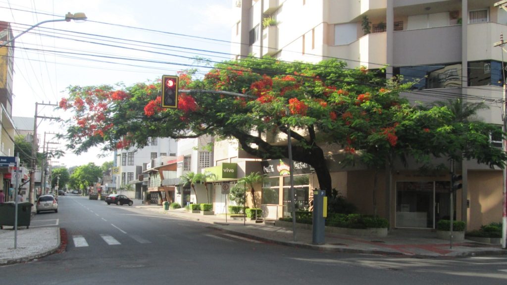 O destino no interior catarinense onde trabalho e qualidade de vida se unem