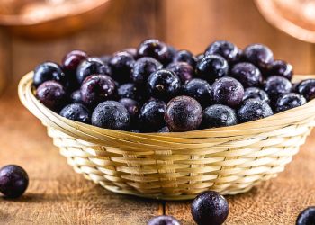 Como plantar Jabuticaba em casa passo a passo