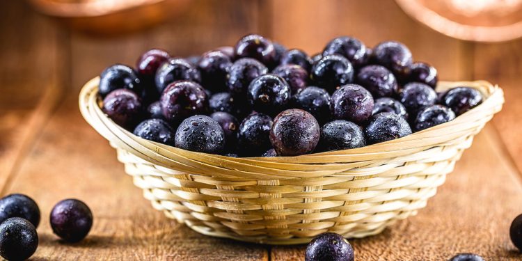 Jabuticaba // Créditos: depositphotos.com / robertohunger