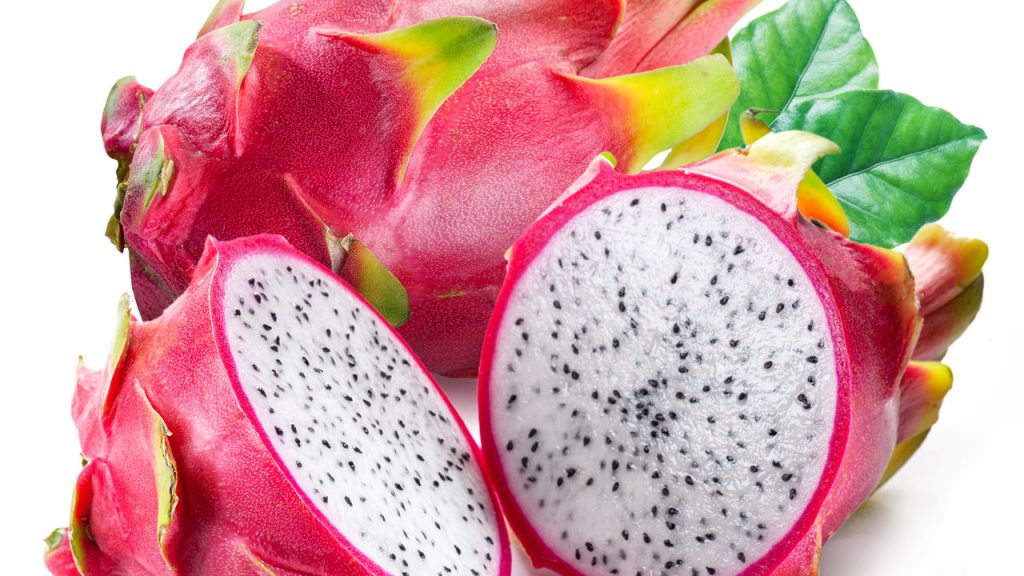 Como plantar Pitaya em casa de maneira prática