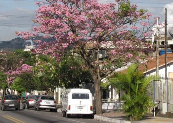 Cidade no interior do Rio de Janeiro é uma das melhores para morar