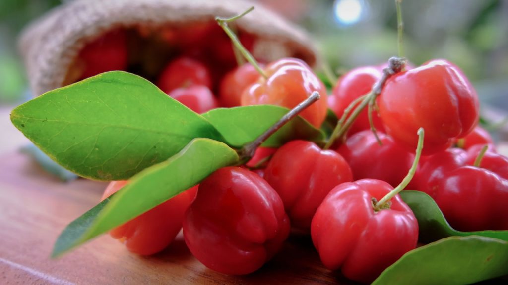 Aprenda a plantar acerola em casa de maneira prática