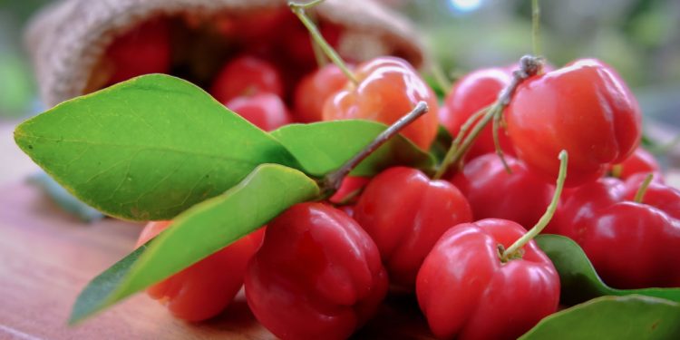 A fruta nutritiva que cuida da sua pele e pode ser cultivada até em vasos