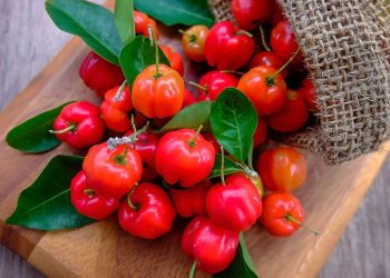 A fruta nutritiva que cuida da sua pele e pode ser cultivada até em vasos
