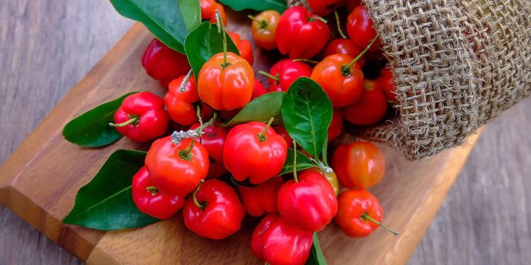 A fruta nutritiva que cuida da sua pele e pode ser cultivada até em vasos