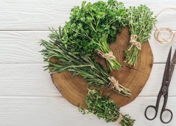 Nova tendência no cuidado com roupas envolve um ingrediente da horta