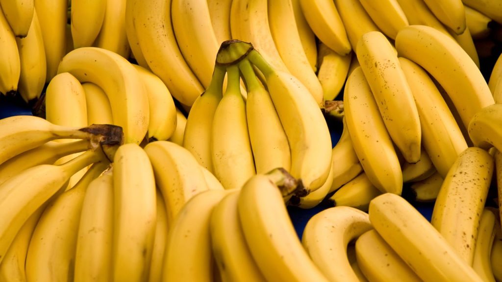 Como plantar banana em casa com passo a passo simples