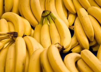 Fruta essencial para plantar em sua casa que dá frutos o ano inteiro