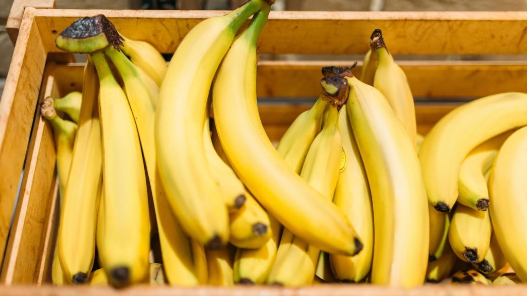 Como plantar banana em casa com passo a passo simples