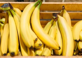 Fruta essencial para plantar em sua casa que dá frutos o ano inteiro