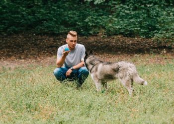 Conversar com pets virou hábito e psicólogos revelam por que isso importa