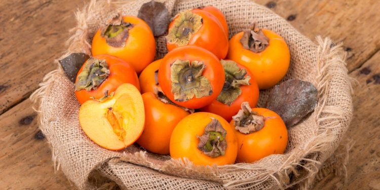 O fruto rico em fibras e vitamina C que pode ser cultivado no quintal