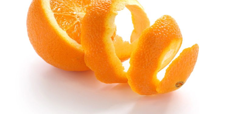 O ingrediente mais subestimado da sua casa pode transformar sua saúde e sua horta