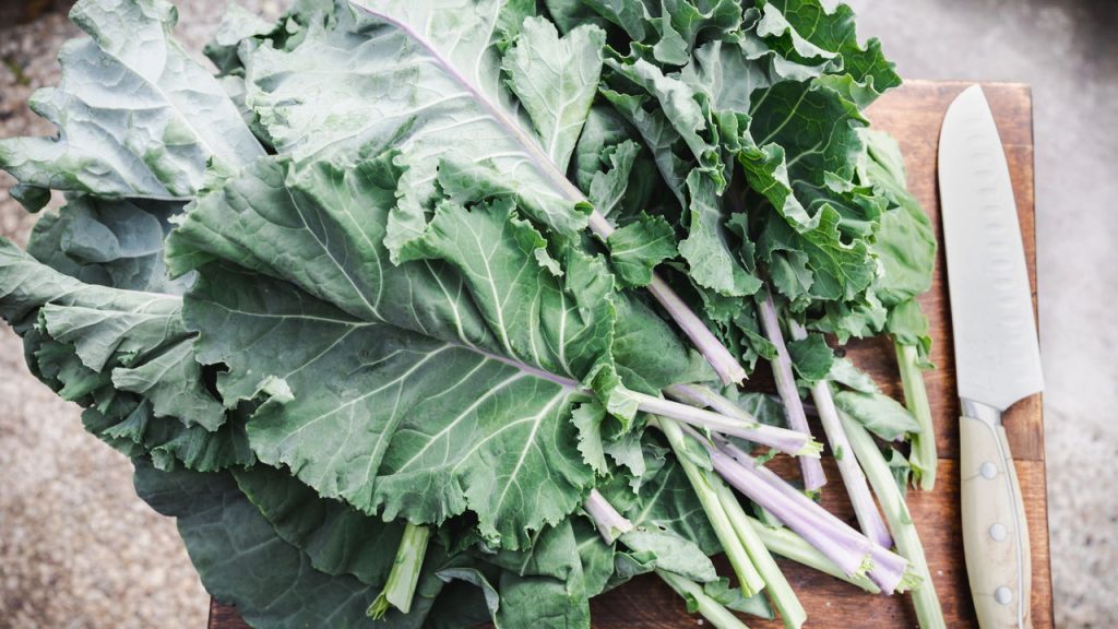 Essa folha pode mudar sua rotina e sua alimentação de vez