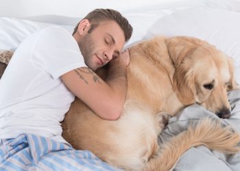 O mais íntimo dos hábitos com pets que revela sua alma