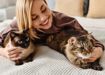 O que a psicologia diz sobre as pessoas que amam gatos?