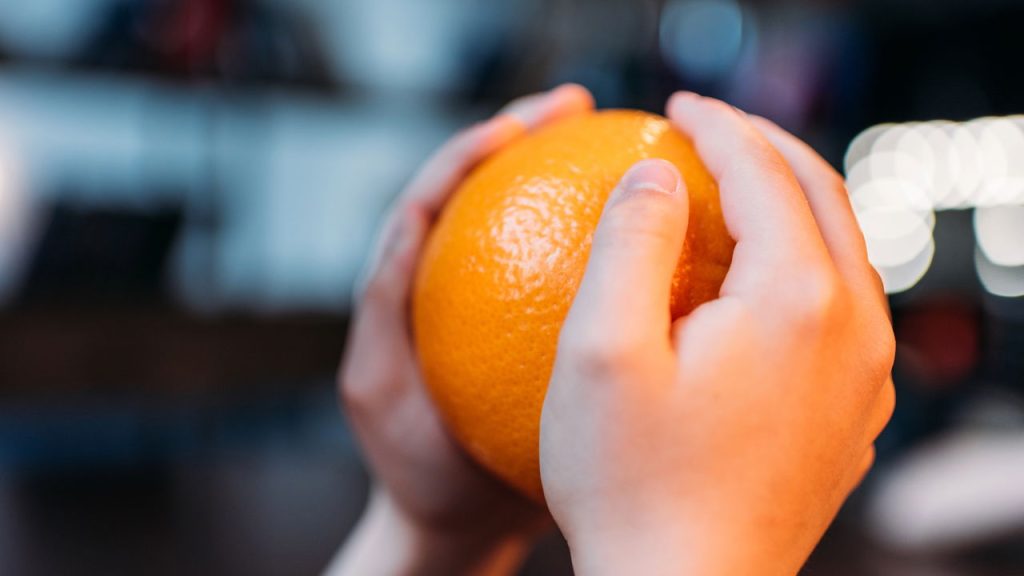 Como plantar laranja em sua casa sem complicações