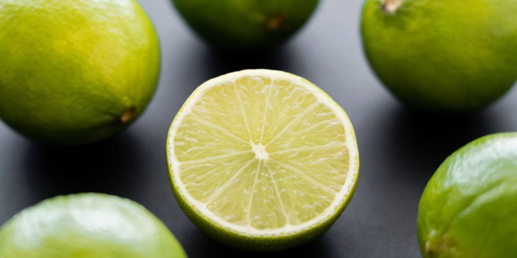 A fruta poderosa que protege o coração, fortalece a imunidade e ainda cresce fácil em casa