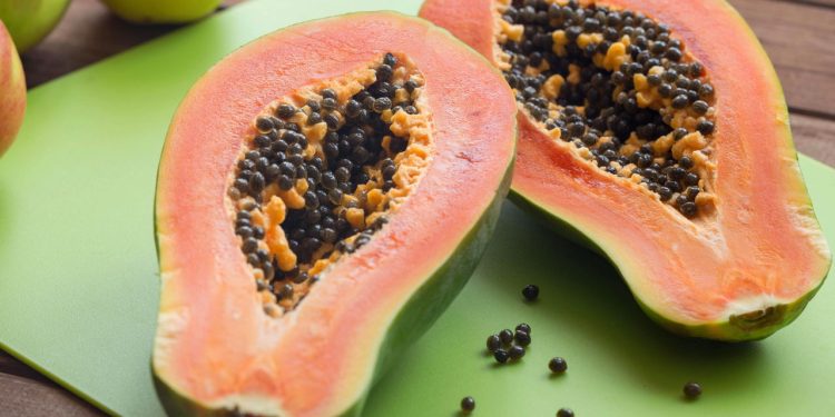 As frutas mais fáceis de plantar no quintal e que dão o ano todo