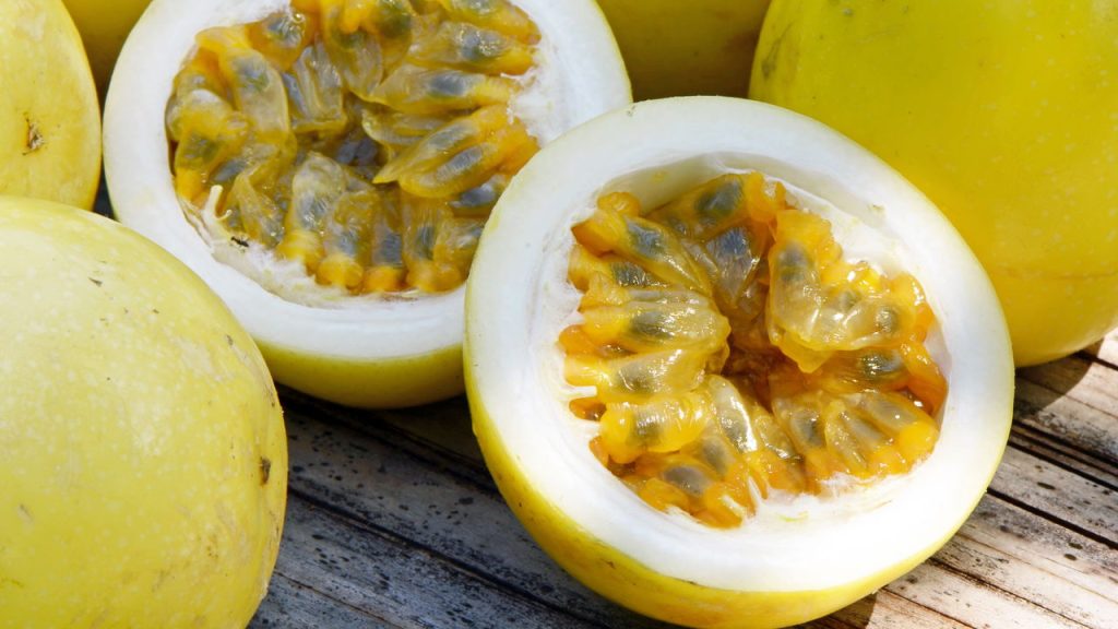 A melhor fruta calmante para plantar em casa e aliviar o estresse