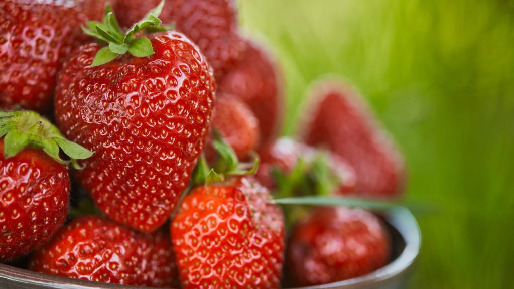 A fruta do amor perfeita para fortalecer a saúde e plantar em casa