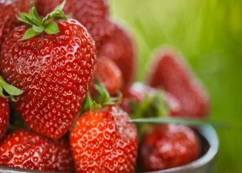 A fruta do amor perfeita para fortalecer a saúde e plantar em casa