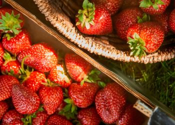 A fruta do amor perfeita para fortalecer a saúde e plantar em casa