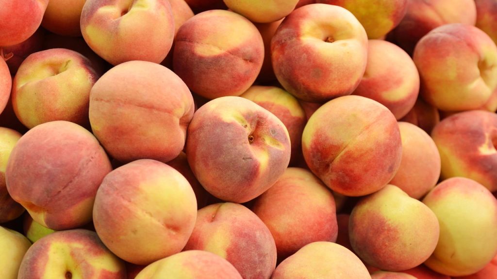 A fruta doce e suculenta que fortalece sua saúde e pode ser cultivada no quintal