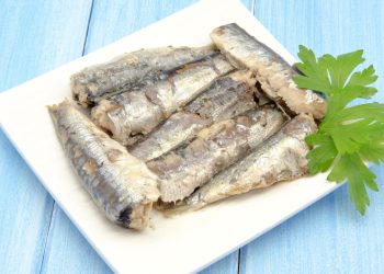 Este peixe é muito superior ao salmão e ao atum