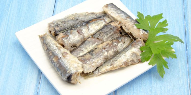 Este peixe é muito superior ao salmão e ao atum