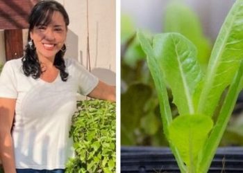 Dálete Tobias, paisagista “Cultivo de alface no vaso”