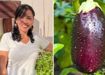 Dálete Tobias, "5 dicas de como cultivar Berinjela"