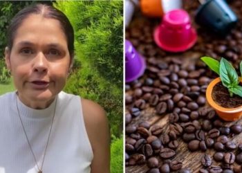 Ana Paula Lino, "Suculentas na capsula de café"