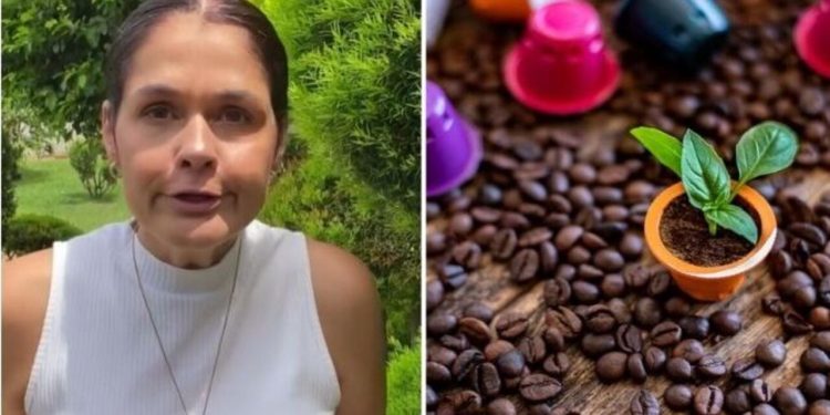 Ana Paula Lino, "Suculentas na capsula de café"