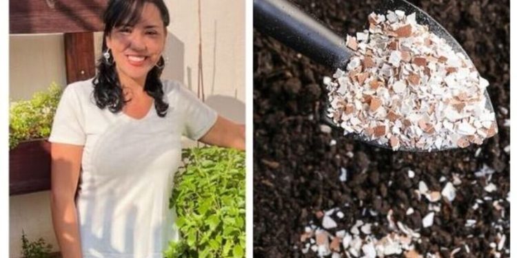 Dálete Tobias, paisagista, "Como preparar cascas de ovos para adubação"