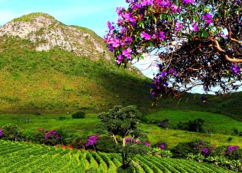 Esse paraíso escondido no interior da Bahia é tão bonito que parece de outro planeta