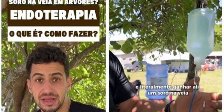 Saiba tudo sobre a Endoterapia vegetal / Foto: (Fonte/Instagram @vidadejardineiro)