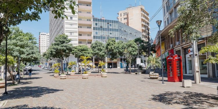 Pequena Londres paranaense tem 96,8% de ruas arborizadas e qualidade de vida que rivaliza com capitais brasileiras